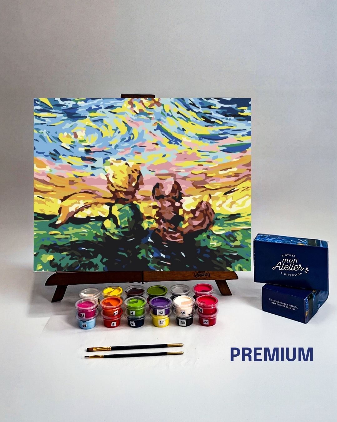 PINTURA POR NÚMERO - PRINCIPITO