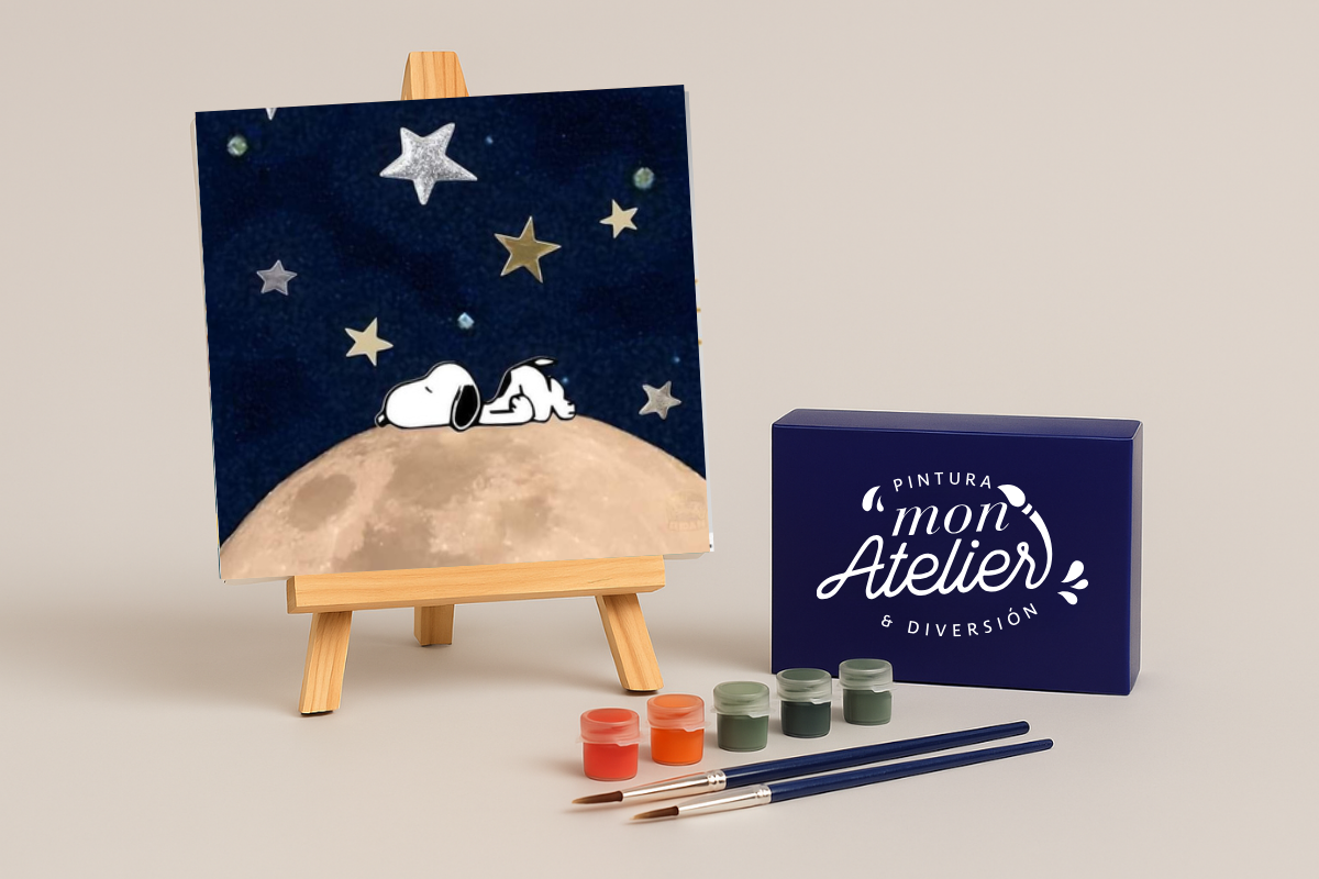 Pintura por Números 20x20cm C9