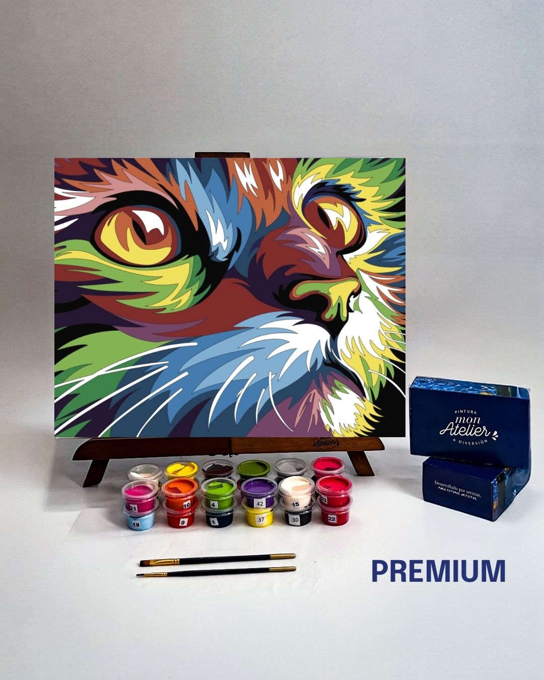 PINTURA POR NÚMERO- GATO