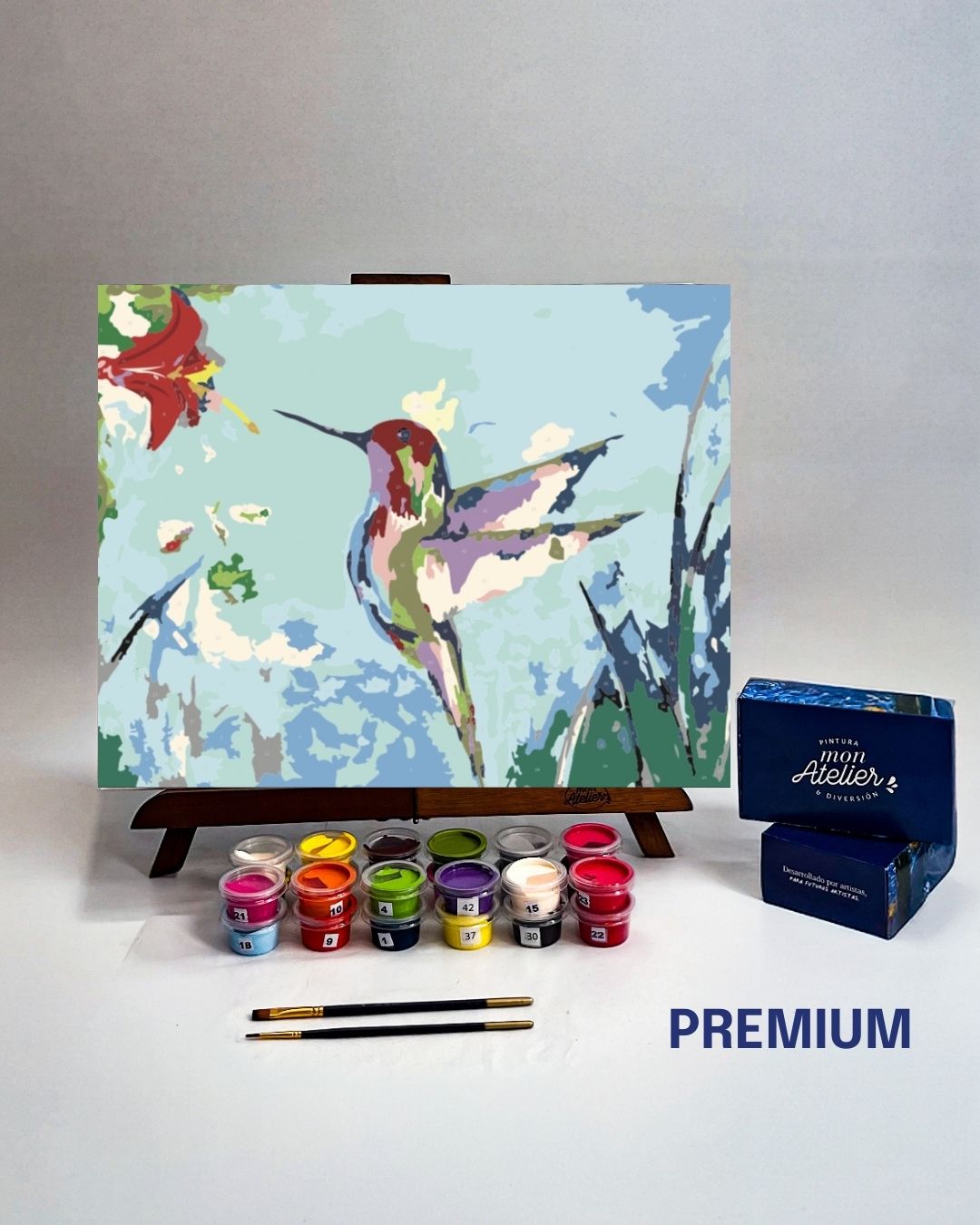 PINTURA POR NÚMERO - COLIBRI