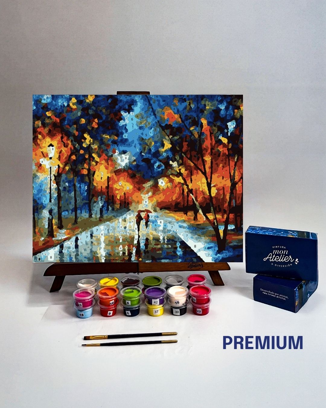 PINTURA POR NÚMERO - THE PARK