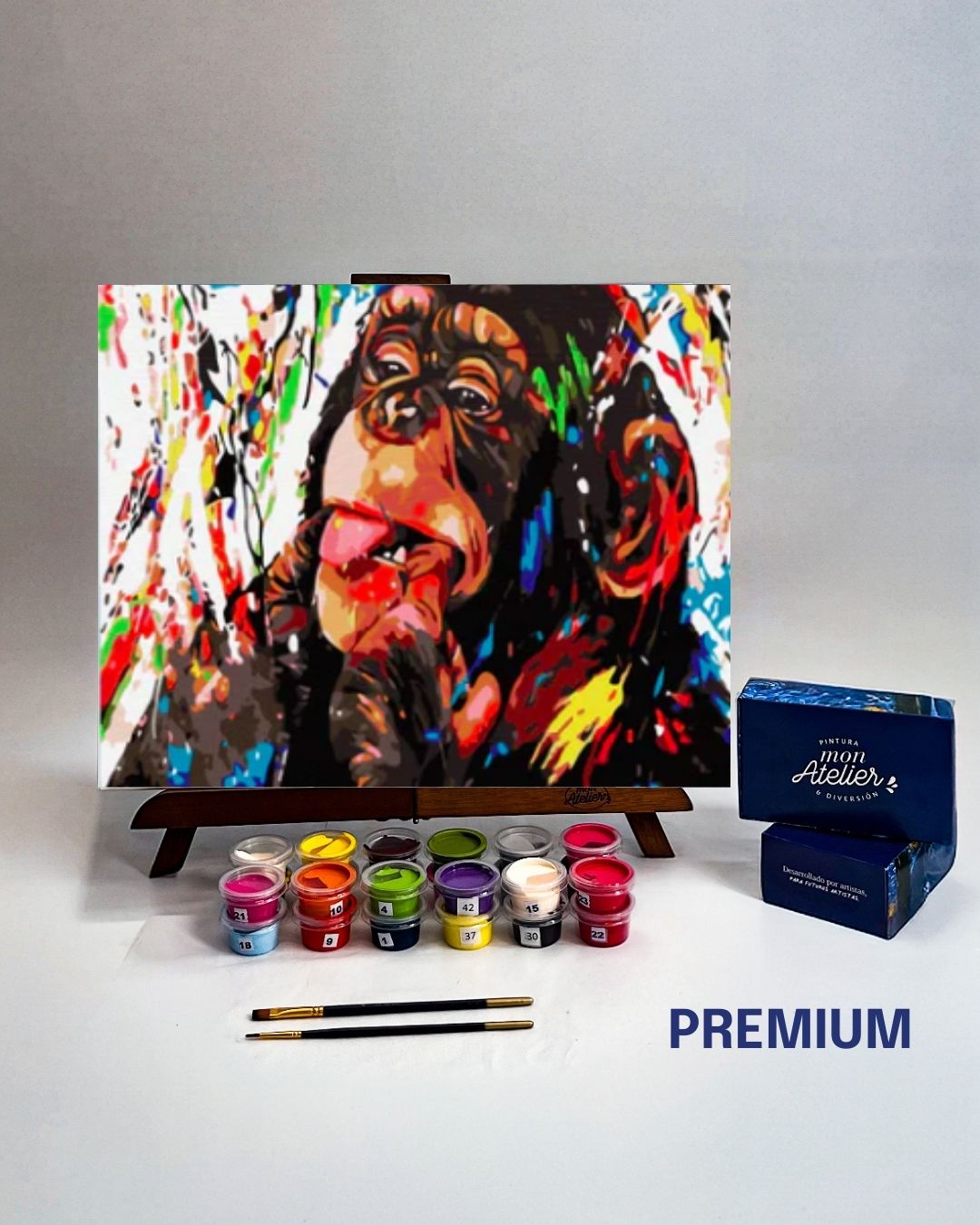 PINTURA POR NÚMERO - POP CHIMP