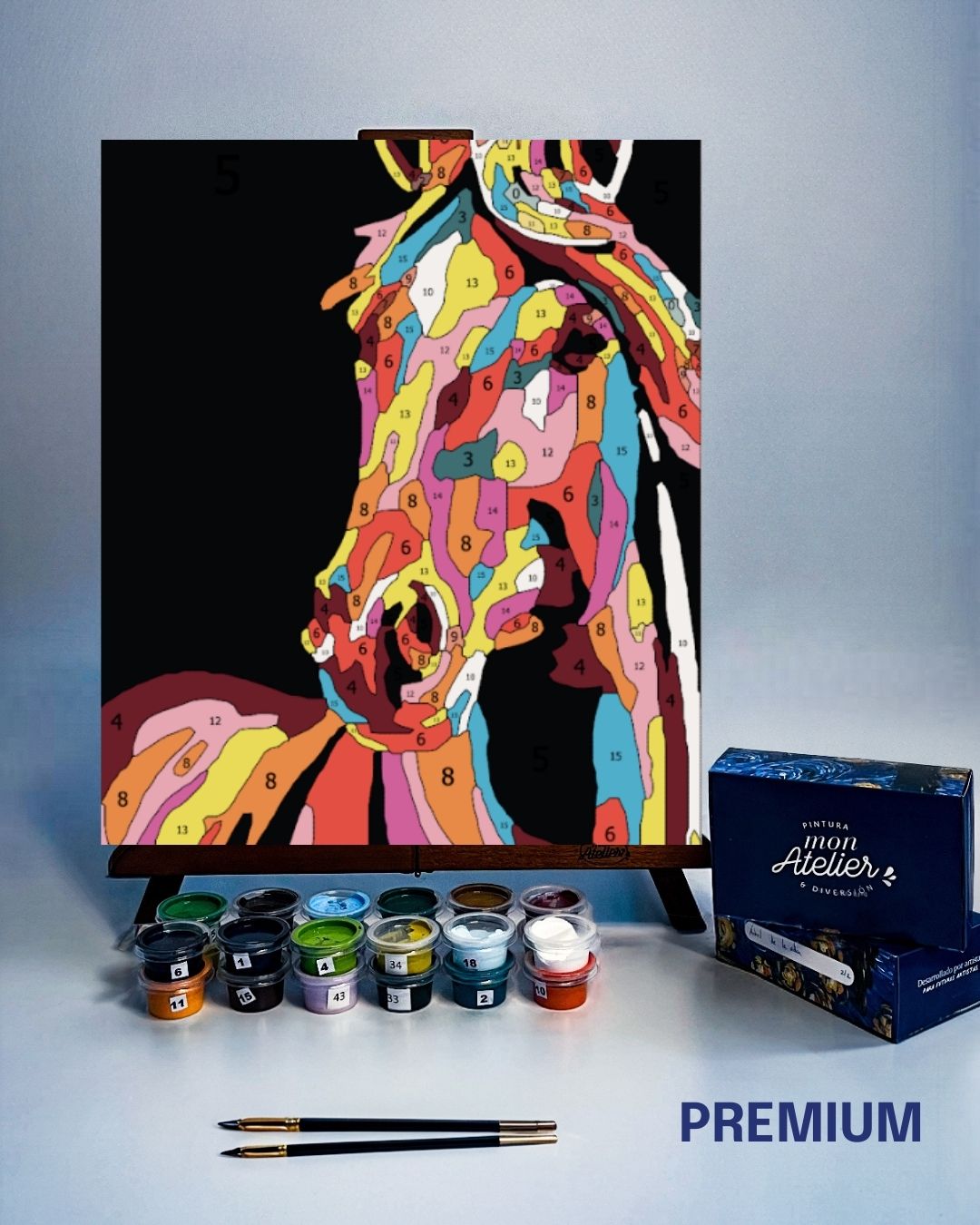 PINTURA POR NÚMERO - HORSE