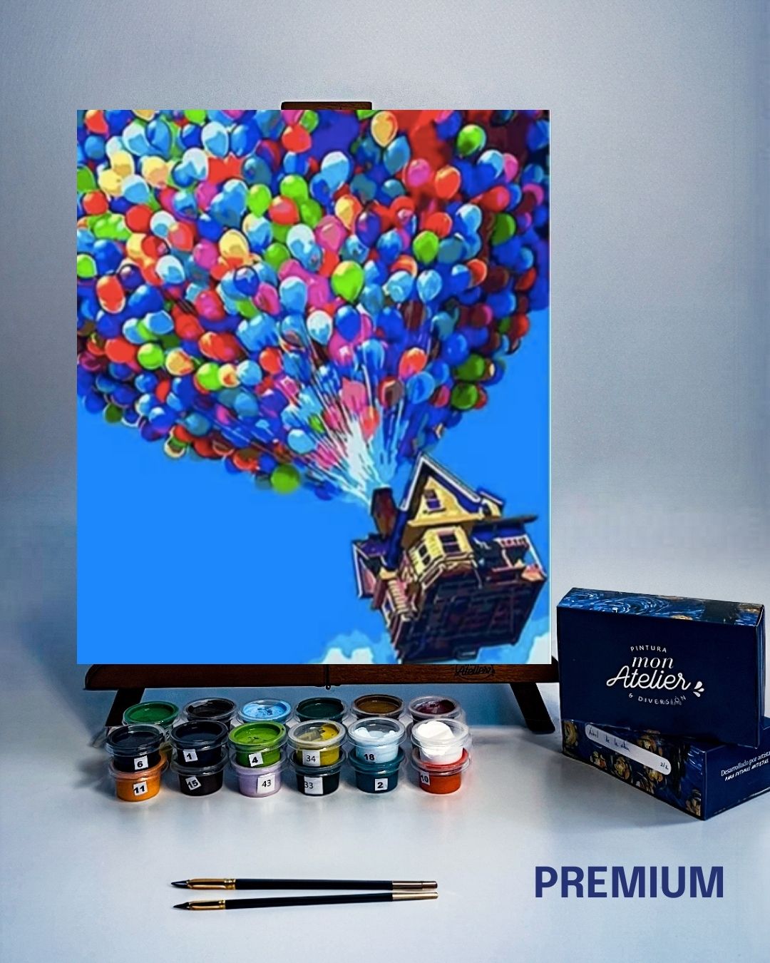 PINTURA POR NÚMERO - UP
