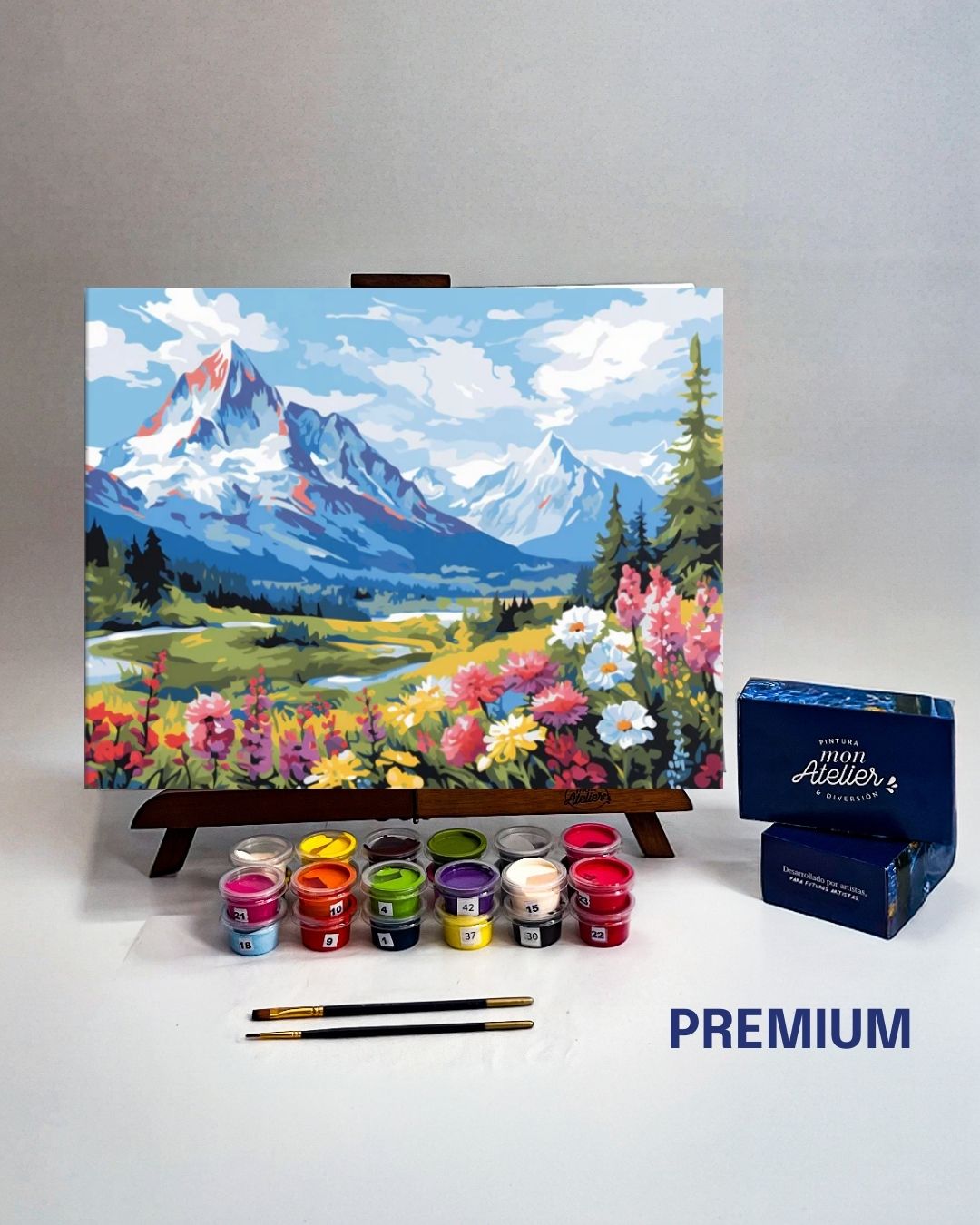 PINTURA POR NÚMERO - NEVADOS