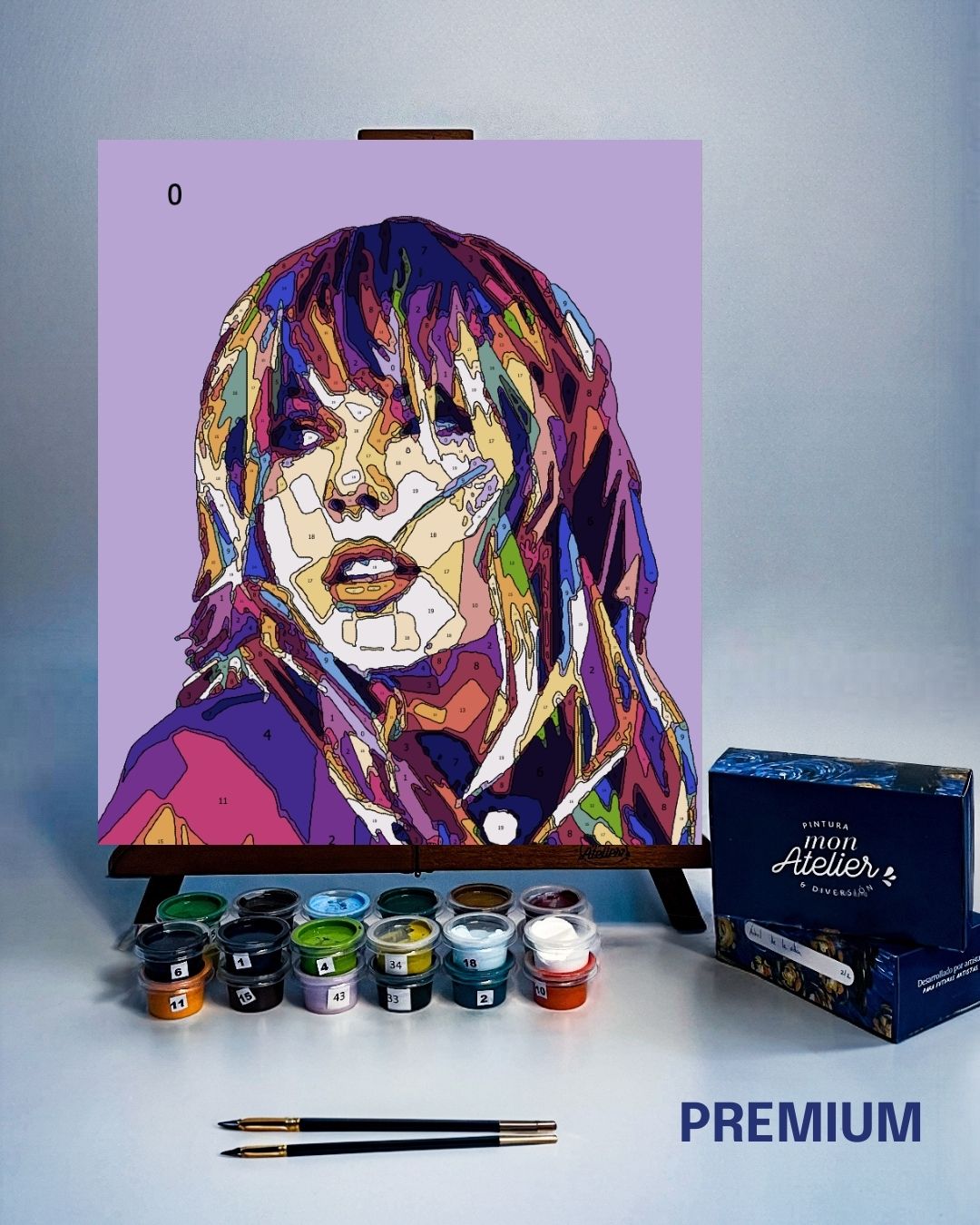 PINTURA POR NÚMERO - TAYLOR SWIFT