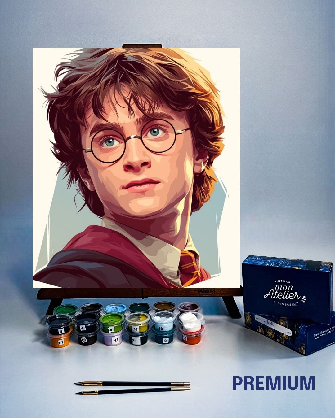 PINTURA POR NÚMERO - HARRY POTTER