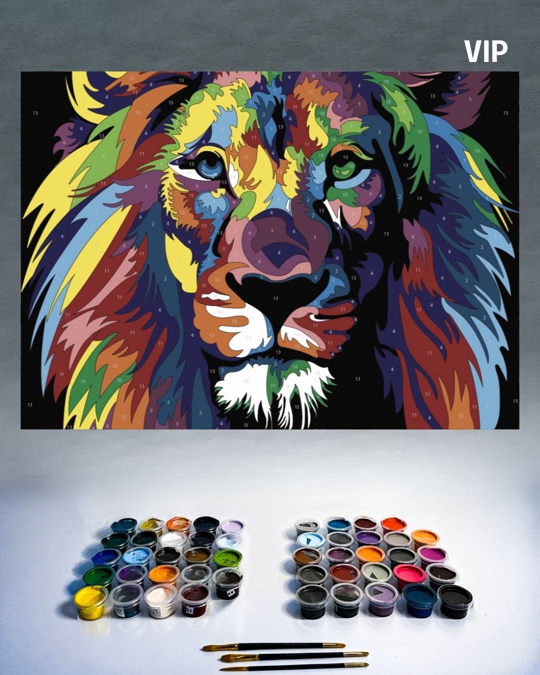 PINTURA POR NÚMERO VIP - LEON