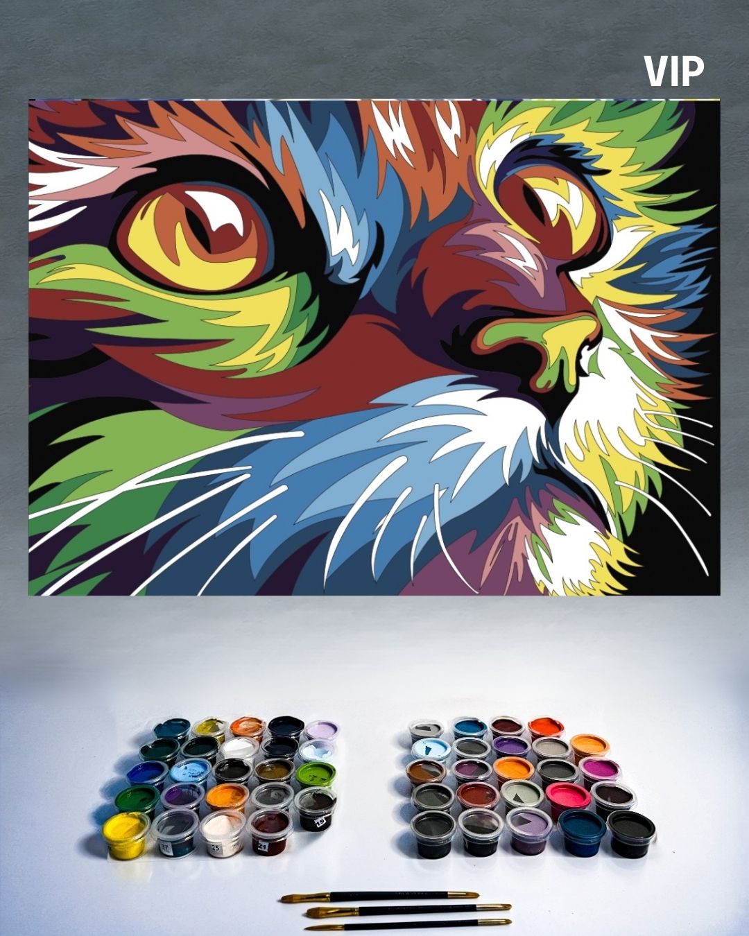 PINTURA POR NÚMERO VIP - GATO