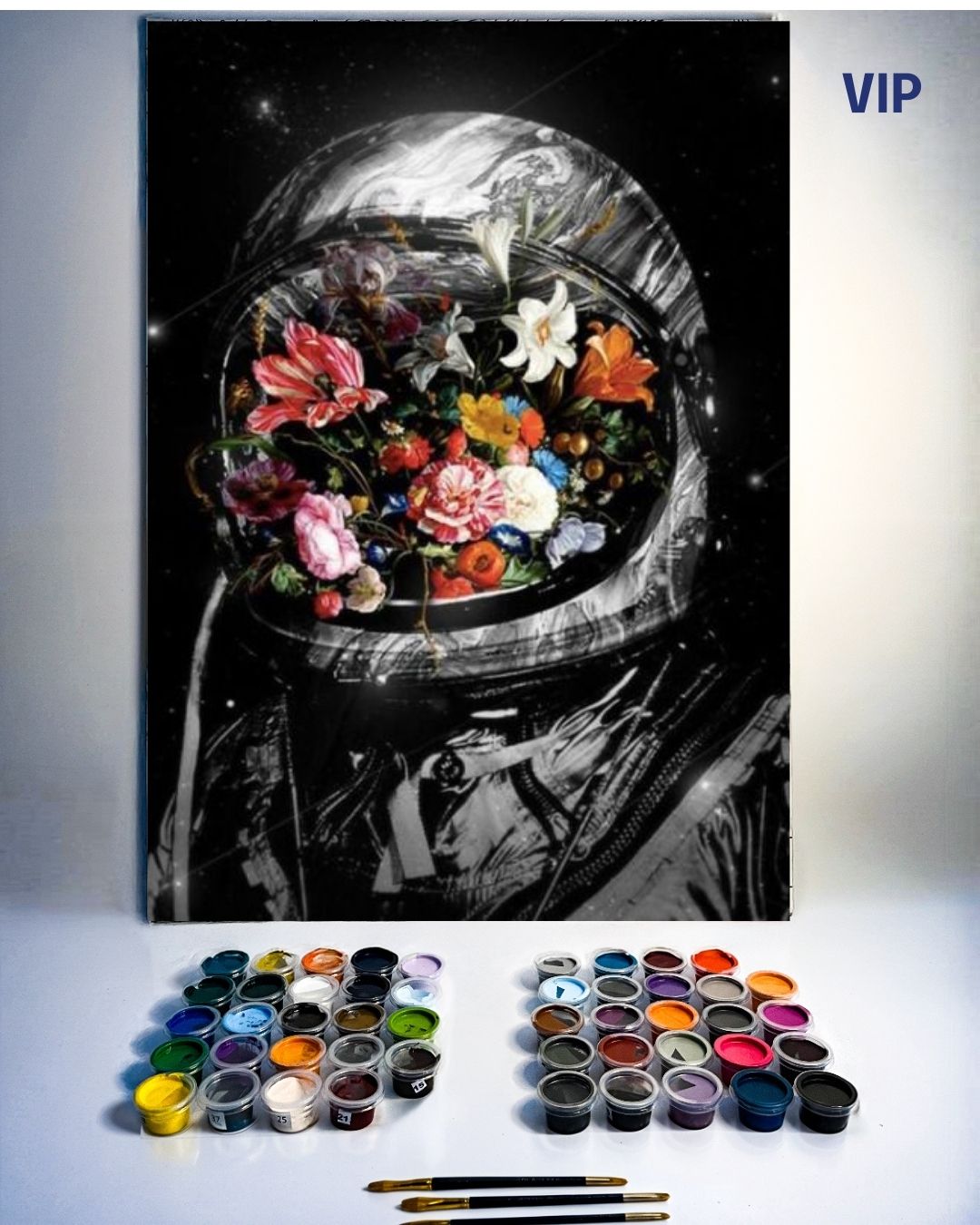 PINTURA POR NÚMERO VIP - ON THE SPACE