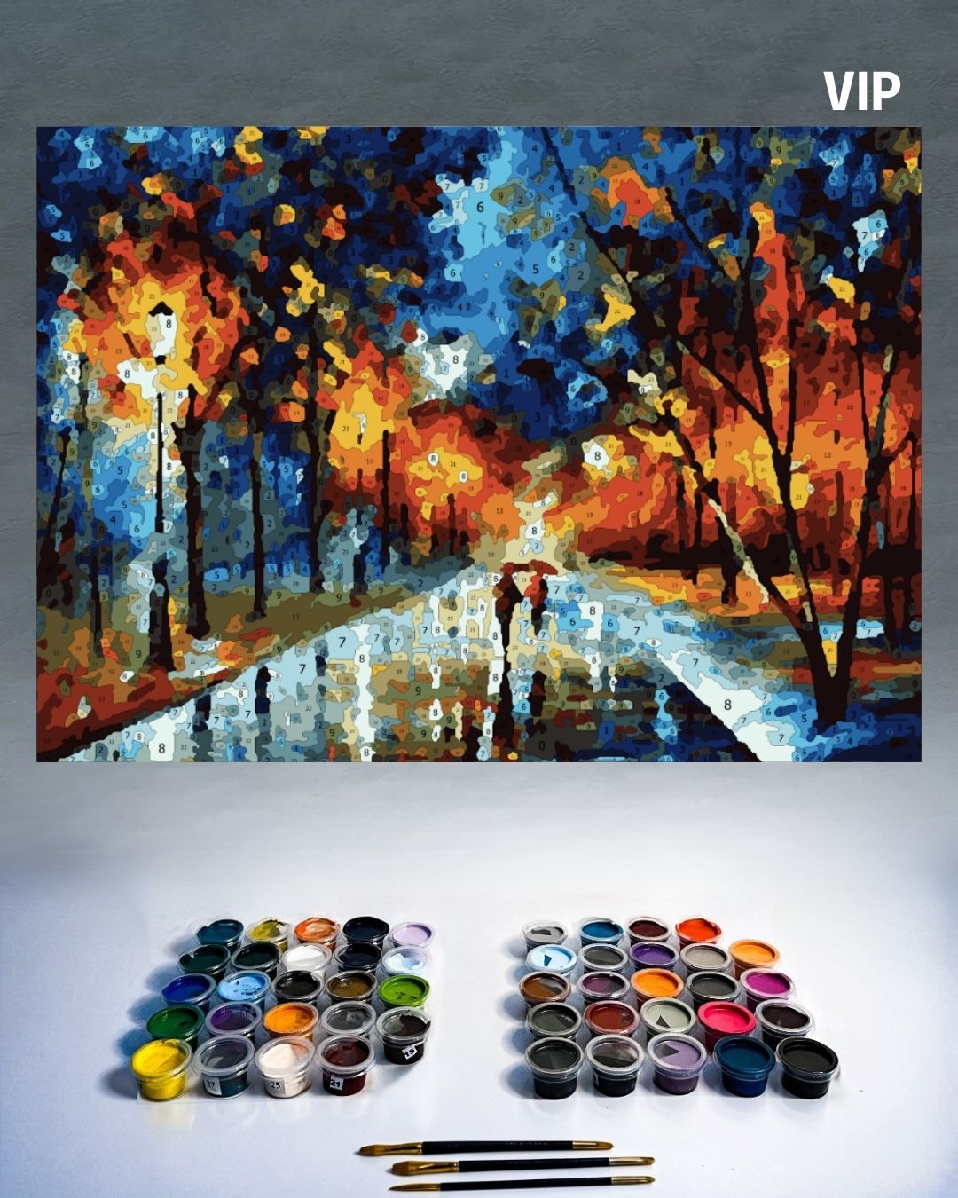 PINTURA POR NÚMERO VIP - THE PARK