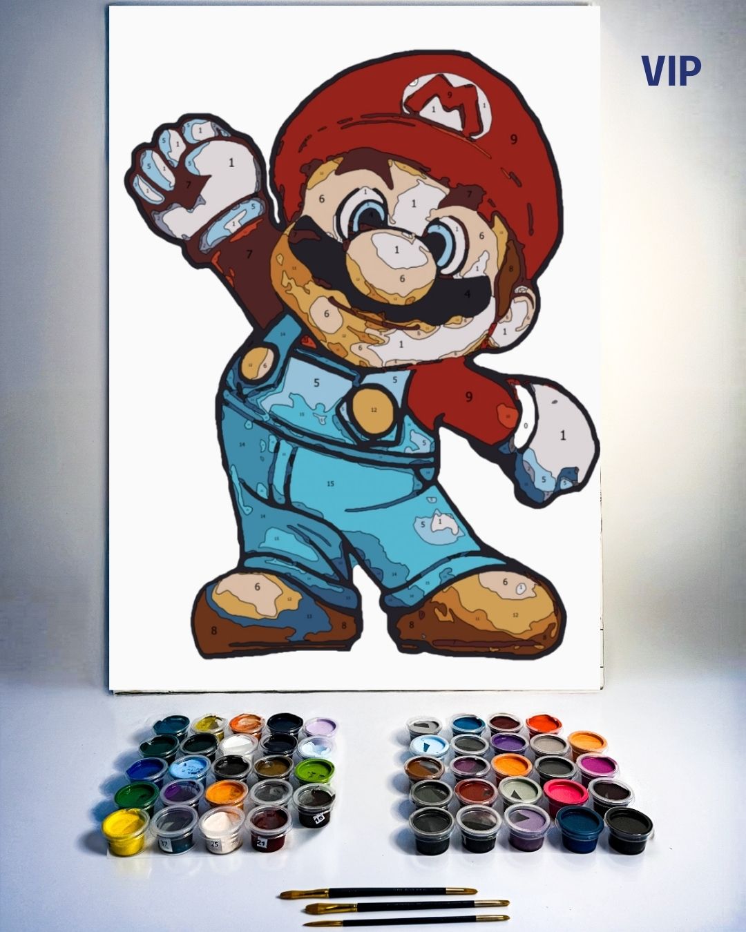 PINTURA POR NÚMERO VIP - MARIO