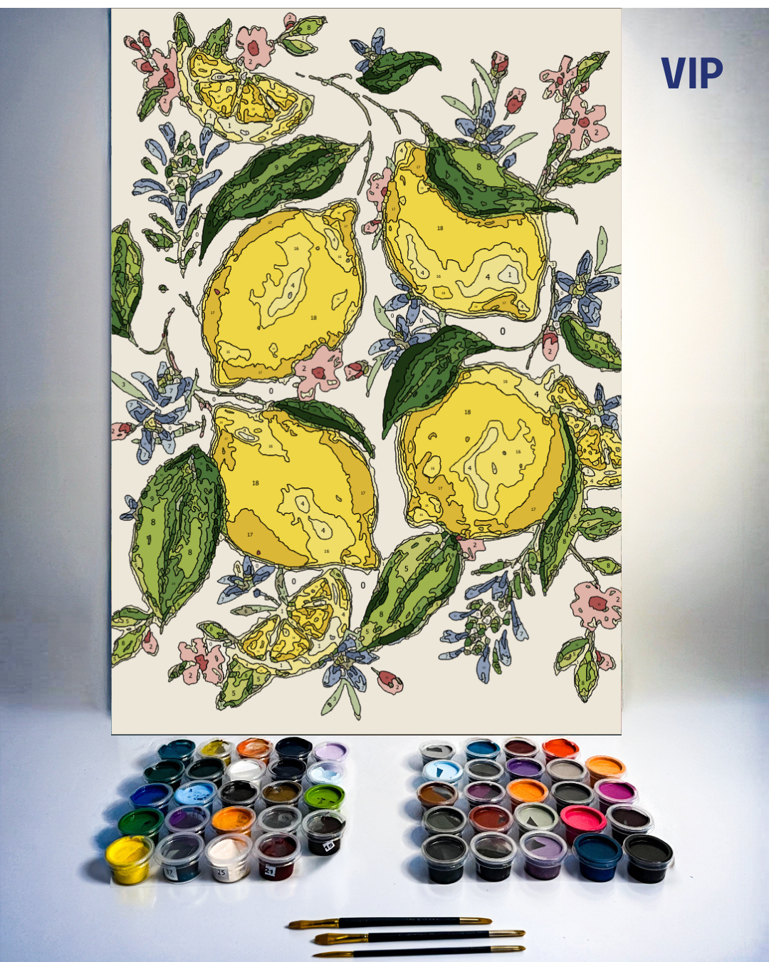 PINTURA POR NÚMERO - VERANO CITRICO