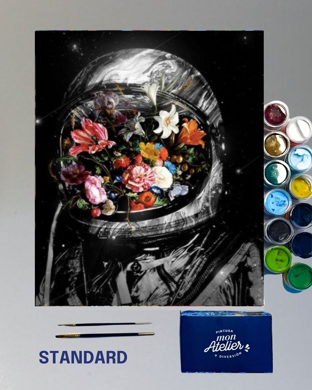 PINTURA POR NÚMERO STANDARD - ON THE SPACE