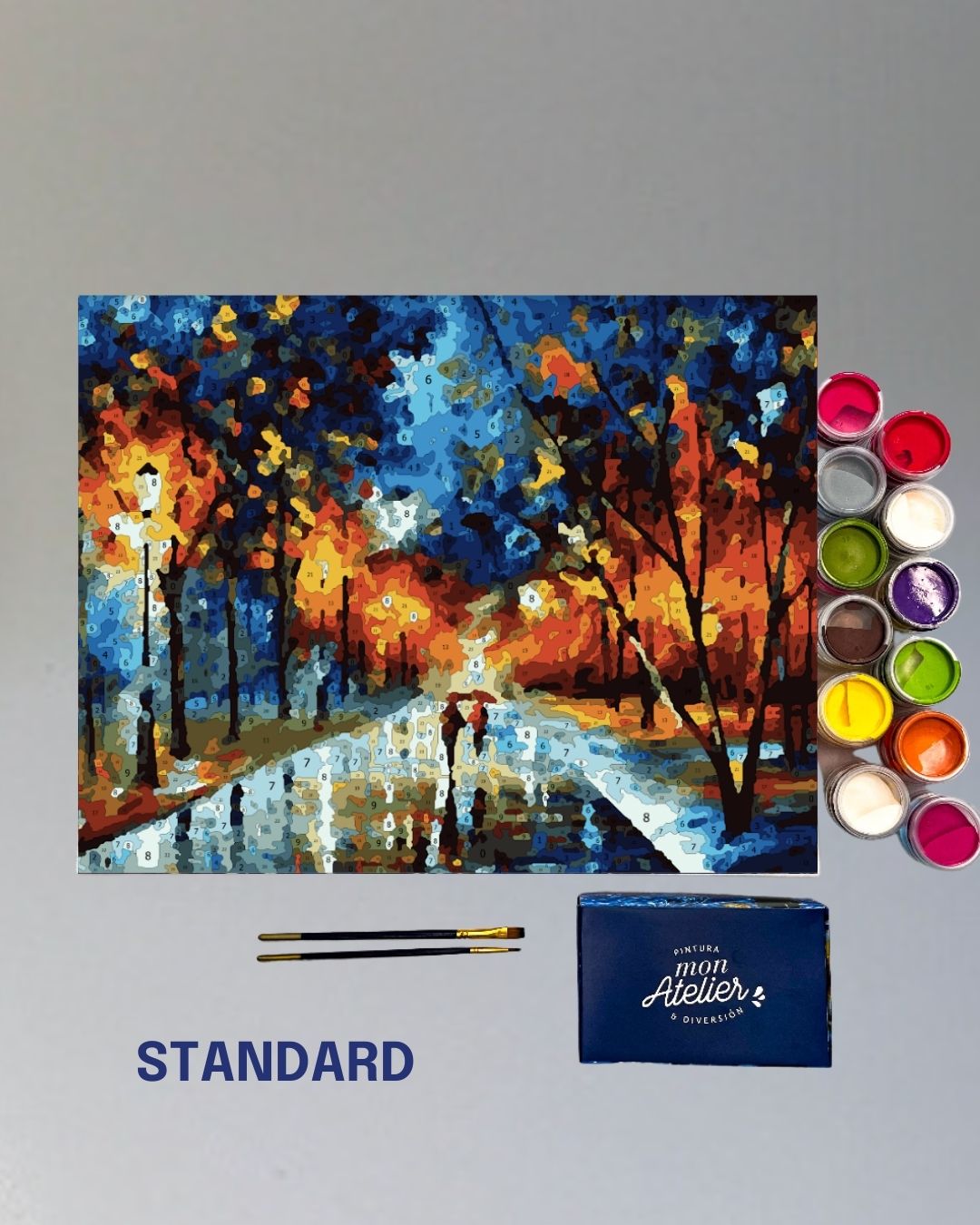PINTURA POR NÚMERO STANDARD - THE PARK