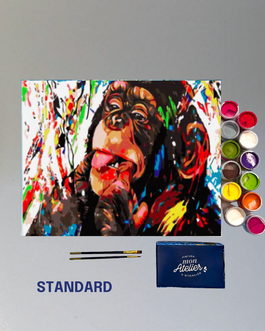 PINTURA POR NÚMERO - POP CHIMP