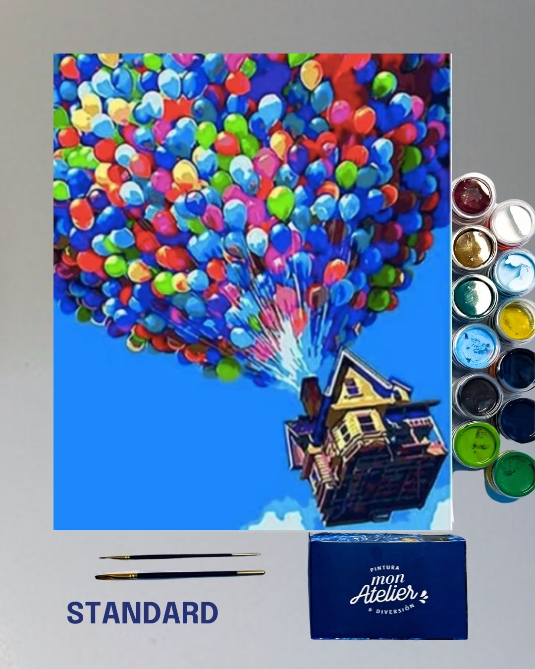 PINTURA POR NÚMERO STANDARD - UP