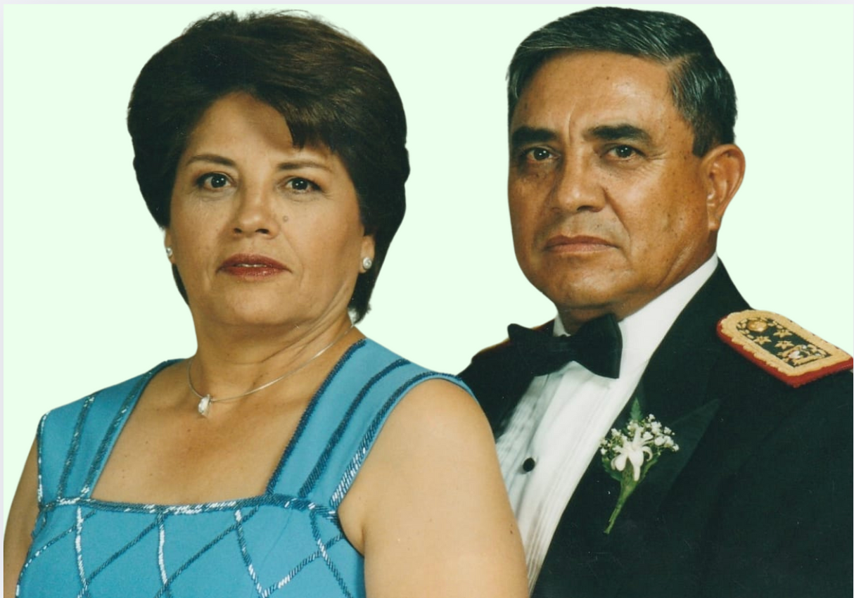 Pintura por Números Personalizado Realista