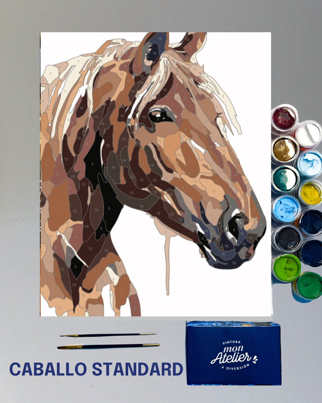 PINTURA POR NÚMEROS - CABALLO