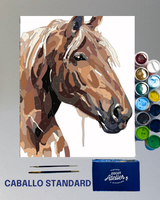 PINTURA POR NÚMEROS - CABALLO