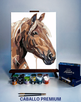 PINTURA POR NÚMEROS - CABALLO
