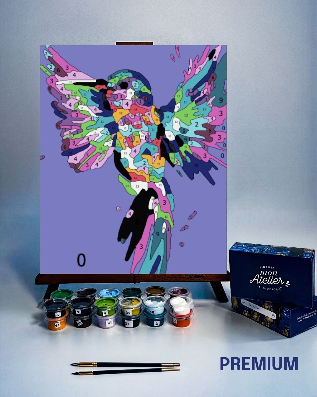 PINTURA POR NÚMEROS - POP ART COLIRI