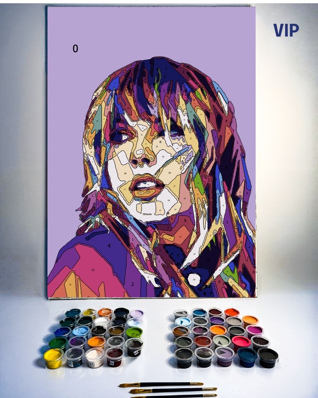 PINTURA POR NÚMERO VIP - TAYLOR SWIFT