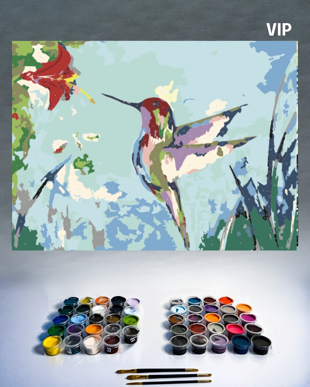 PINTURA POR NÚMERO - COLIBRI