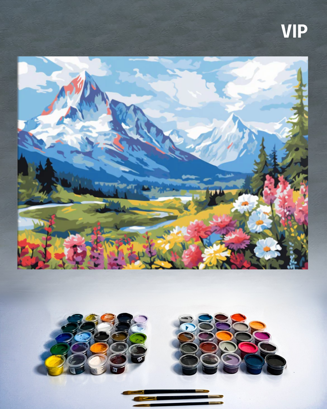PINTURA POR NÚMERO -  NEVADOS