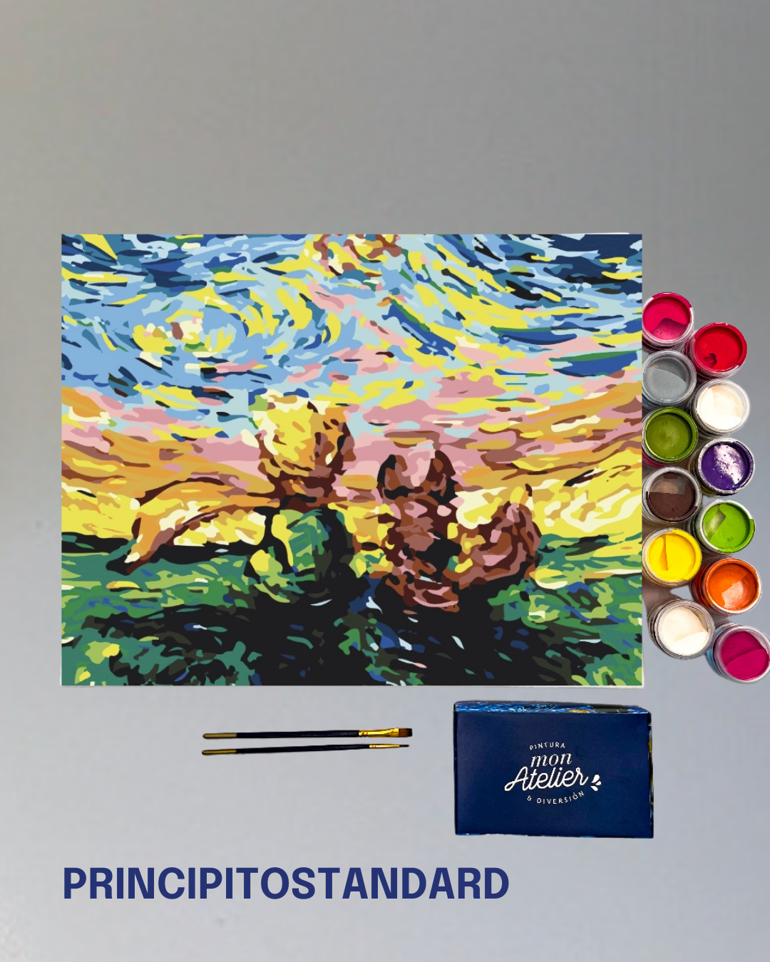 PINTURA POR NÚMERO - PRINCIPITO