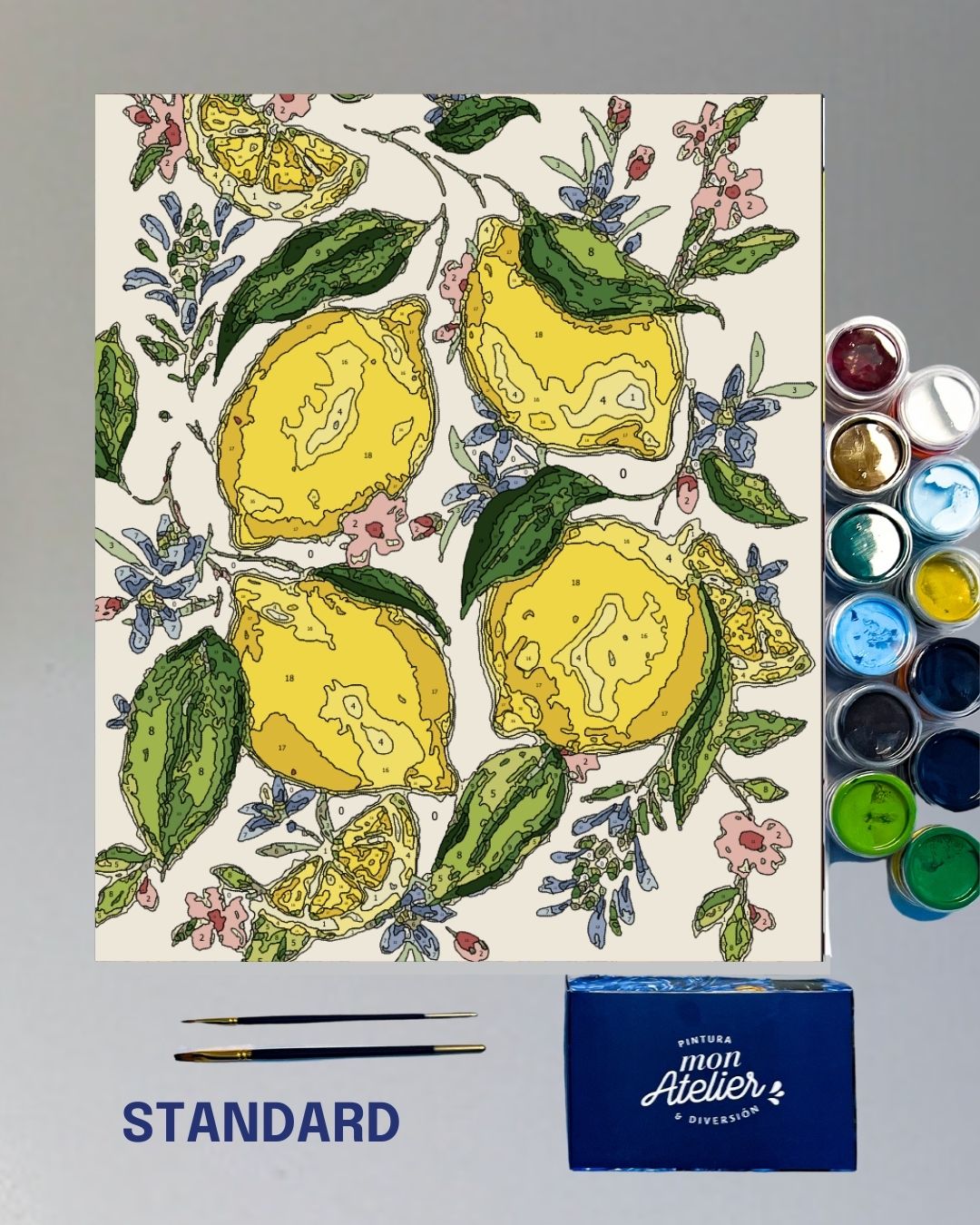 PINTURA POR NÚMERO STANDARD - VERANO CITRICO